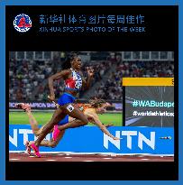 (SP)XINHUA SPORTS PHOTO OF THE WEEK