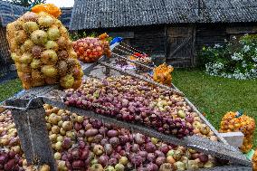 Peipsi Food Street