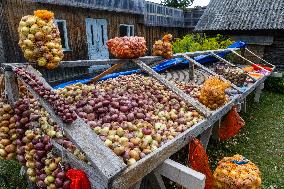 Peipsi Food Street