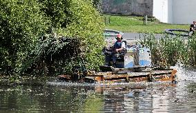 Cleaning a pond