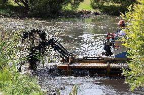 Cleaning a pond