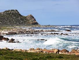 SOUTH AFRICA-CAPE TOWN-CAPE OF GOOD HOPE-SCENERY