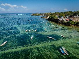 Seaweed Cultivation - Indonesia