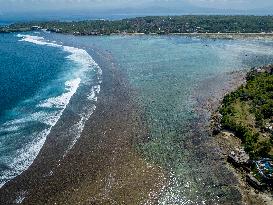 Seaweed Cultivation - Indonesia