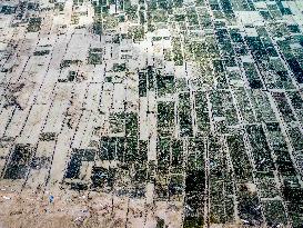 Seaweed Cultivation - Indonesia