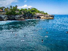 Seaweed Cultivation - Indonesia