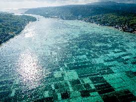 Seaweed Cultivation - Indonesia