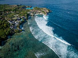 Seaweed Cultivation - Indonesia