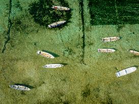 Seaweed Cultivation - Indonesia