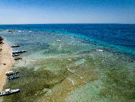 Illustration of Gili Trawangan Island - Indonesia