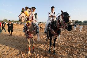 (SP)LIBYA-TAJURA-HORSE-RIDING FESTIVAL