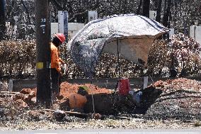 U.S.-HAWAII-MAUI ISLAND-WILDFIRES-RESTORATION