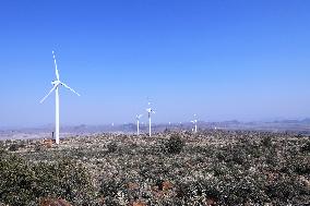 SOUTH AFRICA-DE AAR-CHINA-WIND POWER PROJECT-LOCAL COMMUNITY