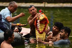 Nag Panchami Festival In Nepal