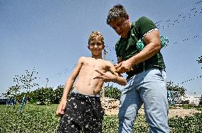 Free summer camp in Zaporizhzhia Region