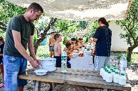 Free summer camp in Zaporizhzhia Region