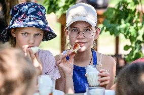 Free summer camp in Zaporizhzhia Region