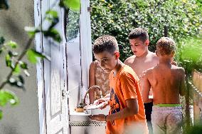 Free summer camp in Zaporizhzhia Region