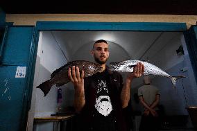 Central Fish Market - Gaza