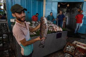 Central Fish Market - Gaza