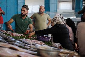 Central Fish Market - Gaza