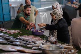 Central Fish Market - Gaza