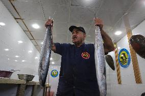 Central Fish Market - Gaza