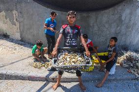 Central Fish Market - Gaza