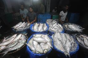 Fishmarket In Bangladesh