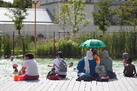 Children Swim In A Natural Pond - Pantin