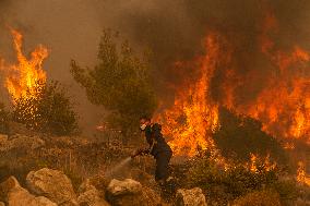 GREECE-HASIA-WILDFIRES