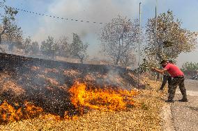 GREECE-HASIA-WILDFIRES