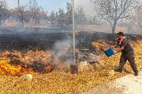 GREECE-HASIA-WILDFIRES