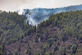Wildfire Burned Almost 15,000 Hectares - Tenerife