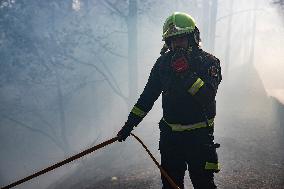 Wildfire Burned Almost 15,000 Hectares - Tenerife