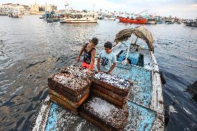 EGYPT-DAMIETTA-DAILY LIFE-FISHING PORT