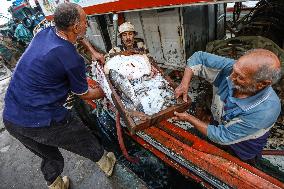 EGYPT-DAMIETTA-DAILY LIFE-FISHING PORT