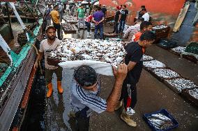 EGYPT-DAMIETTA-DAILY LIFE-FISHING PORT