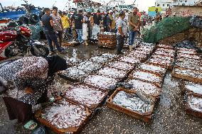 EGYPT-DAMIETTA-DAILY LIFE-FISHING PORT