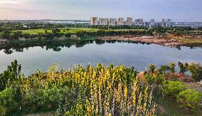 CHINA-SHAANXI-YULIN-LUHE RIVER (CN)