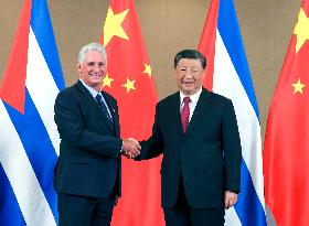 SOUTH AFRICA-JOHANNESBURG-XI JINPING-CUBA-PRESIDENT-MEETING