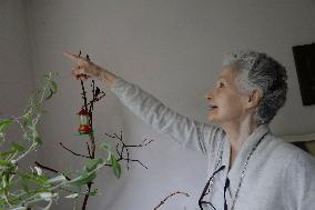 Catia Lattouf, Hummingbird Rescuer And Caregiver In Mexico