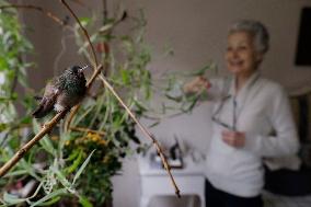 Catia Lattouf, Hummingbird Rescuer And Caregiver In Mexico