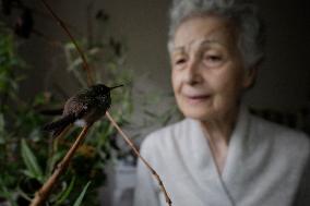 Catia Lattouf, Hummingbird Rescuer And Caregiver In Mexico