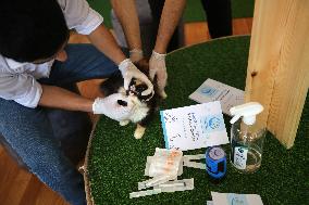 Veterinarian in Gaza