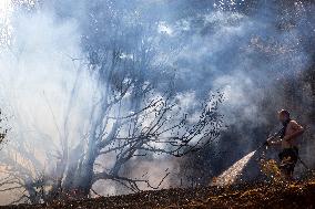 GREECE-ATHENS-WILDFIRES