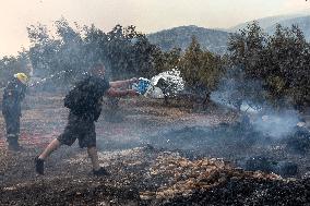 GREECE-ATHENS-WILDFIRES