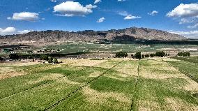 Drought in Zhangye