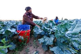 Drought in Zhangye