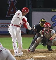 Baseball: Reds vs. Angels